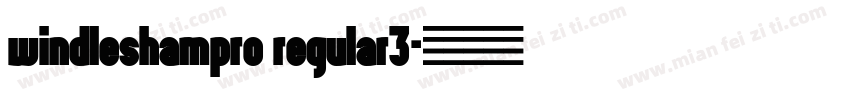 windleshampro regular3字体转换